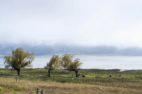 タフィ ・ デル ・ バジェ湖トゥクマン、アルゼンチンの. — ストック写真