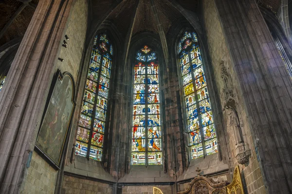 Sint Waldetrudis kerk in Bergen, België. — Stockfoto