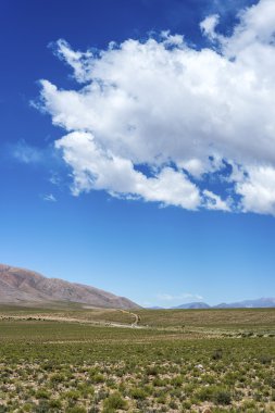 Condor, quebrada de humahuaca, jujuy, Arjantin