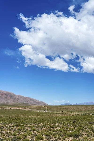 Cóndor, Quebrada de Humahuaca, Jujuy, Argentina — Foto de Stock