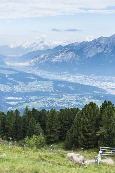 Vârful Patscherkofel lângă Innsbruck, Tirol, Austria . — Fotografie, imagine de stoc