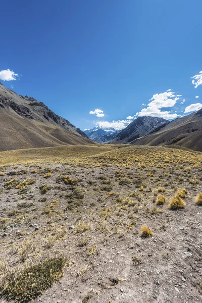 Aconcagua, v Andách v mendoza, argentina. — Stock fotografie