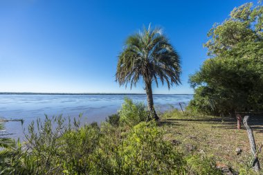 el palmar Milli Parkı, Arjantin avucunda