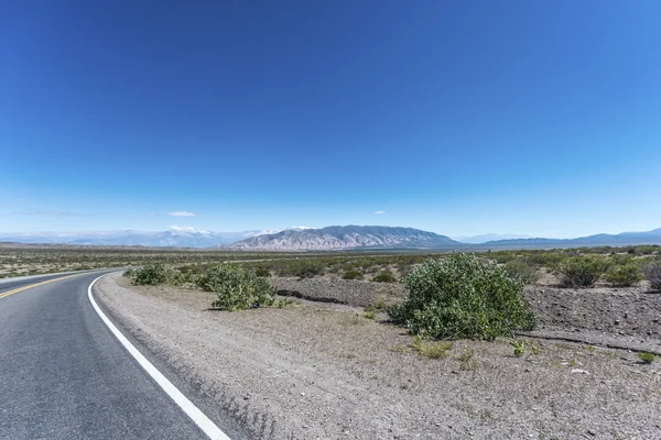 Taman Nasional Los Cardones di Salta, Argentina . — Stok Foto