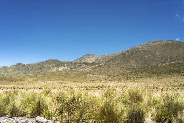 Vallée de Calchaqui à Tucuman, Argentine — Photo