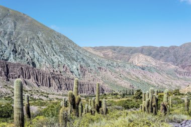 cienaga, quebrada de humahuaca, jujuy, Arjantin.