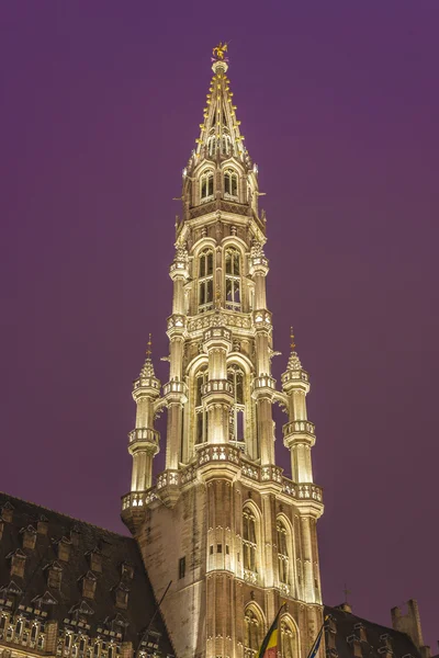 Câmara Municipal em Brussels, Bélgica . — Fotografia de Stock