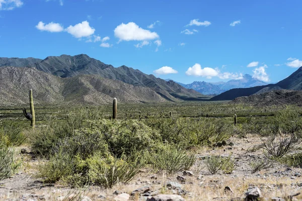 Berühmte route 40 in salta, argentinien. — Stockfoto