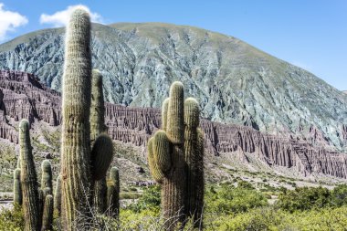 cienaga, quebrada de humahuaca, jujuy, Arjantin.