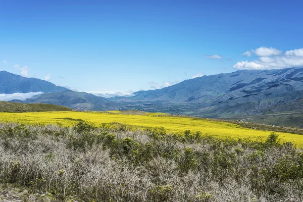 Calchaqui údolí v tucuman, argentina — Stock fotografie