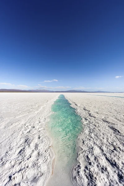 Water pool on Salinas Grandes Jujuy, Argentina. — Stock Photo, Image