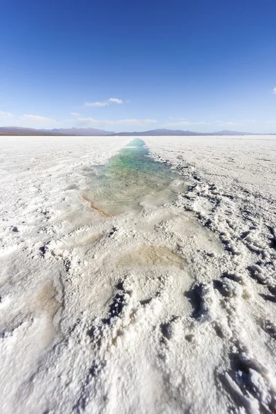 Water pool on Salinas Grandes Jujuy, Argentina. — Stock Photo, Image