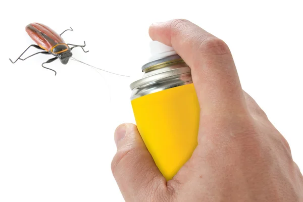 蟑螂上喷洒杀虫剂 — 图库照片