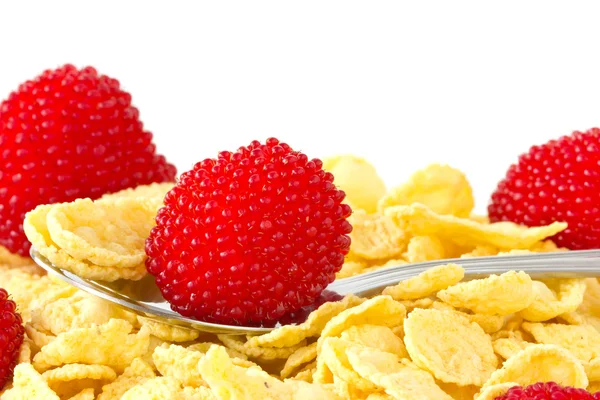 Cereais de pequeno-almoço com frutas vermelhas — Fotografia de Stock