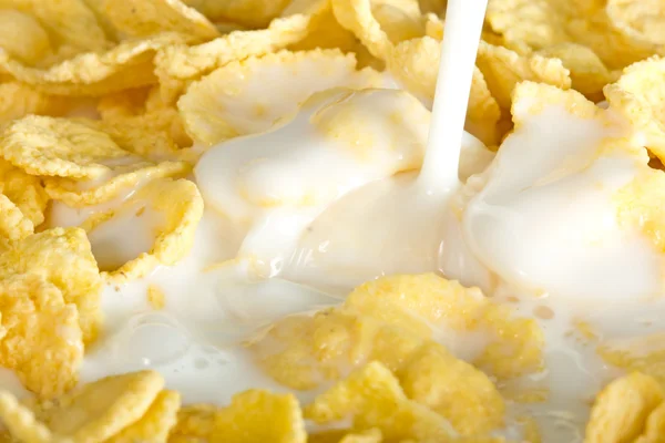 Milk pouring on a cornflakes — Stock Photo, Image