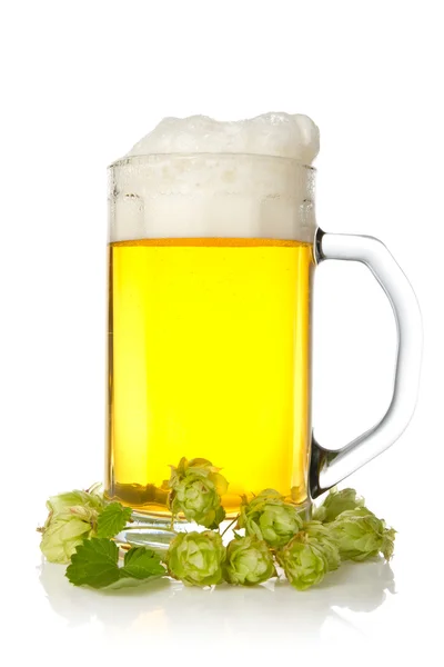 Jarra de cerveza con hop —  Fotos de Stock