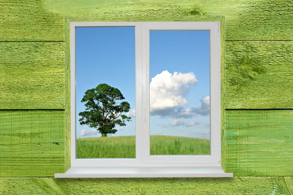 Landskap i fönstret — Stockfoto