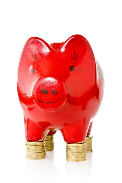 Piggy bank standing on coins — Stok fotoğraf