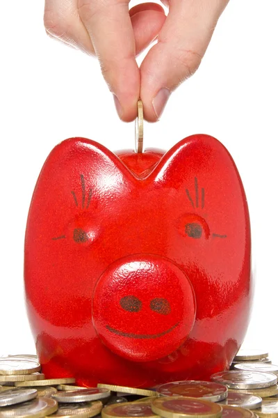 Hand putting coin into the piggy bank — Stock Photo, Image
