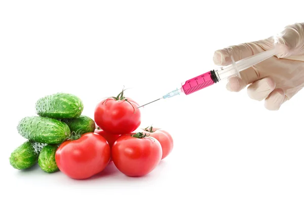 Científico inyectar gmo en el tomate — Foto de Stock