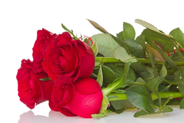 Csokor vörös rózsa — Stock Fotó