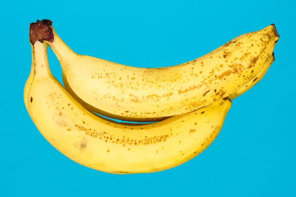 Банани на синьому фоні — стокове фото