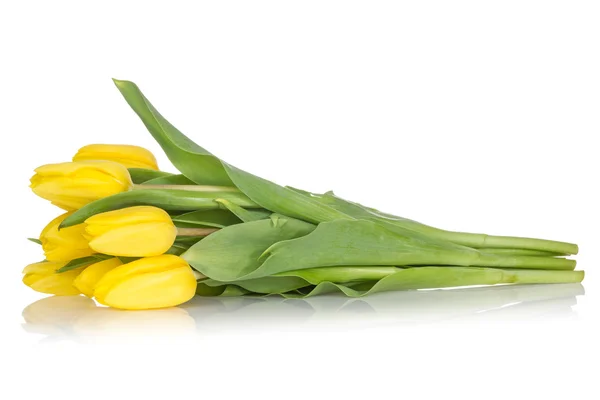 黄色郁金香上白色的花束 — 图库照片
