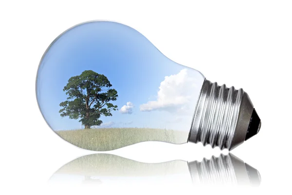 Green energy concept — Stock Photo, Image