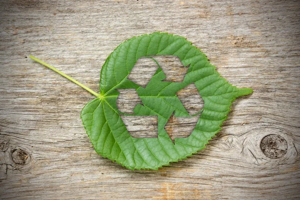 Πράσινο φύλλο με το σύμβολο της ανακύκλωσης — Φωτογραφία Αρχείου