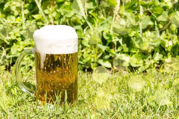 Glass with beer on the green grass — Stock Photo, Image