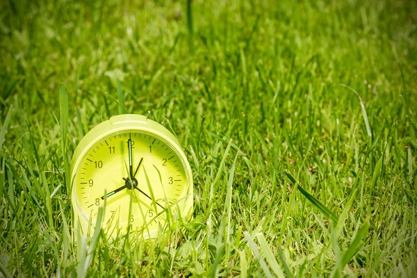 Budzik w trawie na rano — Zdjęcie stockowe