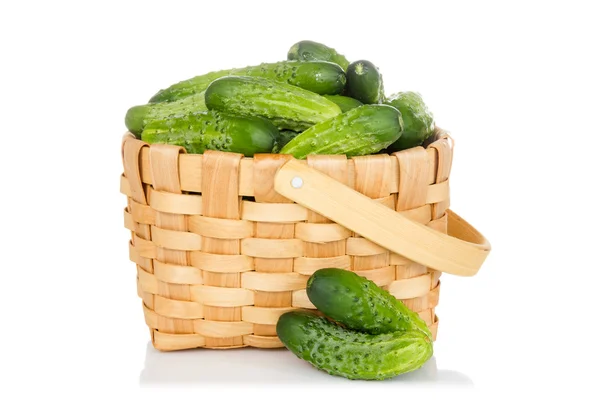 Wicker basket full of cucumbers — Stock Photo, Image