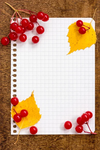 Hojas de otoño y las bayas con una hoja de papel —  Fotos de Stock
