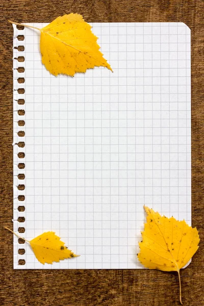 Autumnal leaves on the paper page notebook — Stock Photo, Image