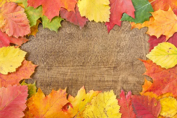 Autumn leaves over wooden background — Stock Photo, Image