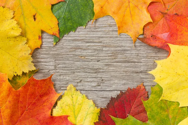 Autumnal leaves over wooden background — Stock Photo, Image