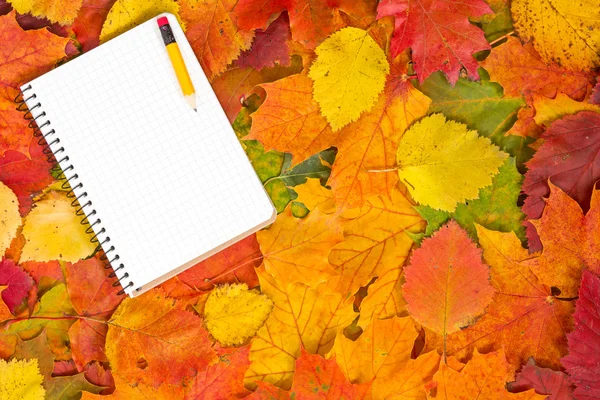 Cuaderno y hojas otoñales —  Fotos de Stock