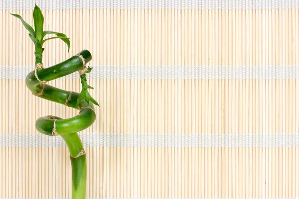 わらのマットの背景に竹 — ストック写真