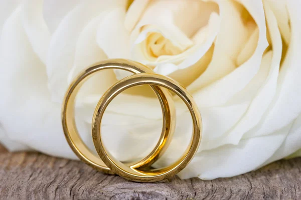 Golden wedding rings with white rose — Stock Photo, Image