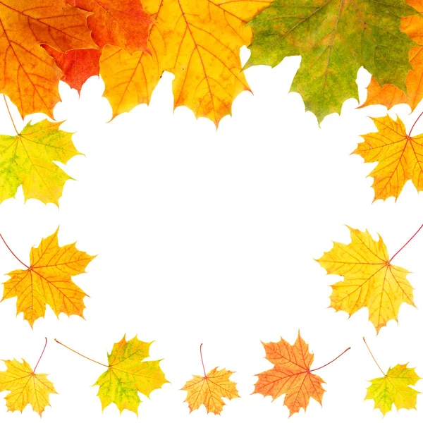 Autumn border card of colored leaves — Stock Photo, Image