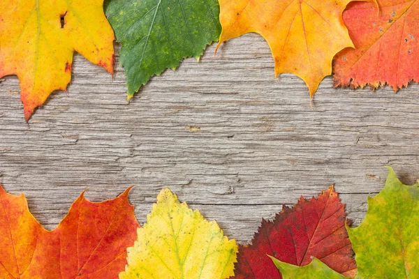 Drewniane deski i jesień kolorowy liść — Zdjęcie stockowe