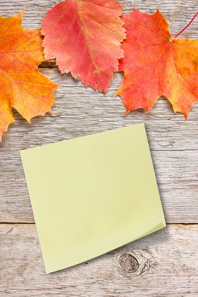 Sticky note on the board with autumnal leaves Stock Photo