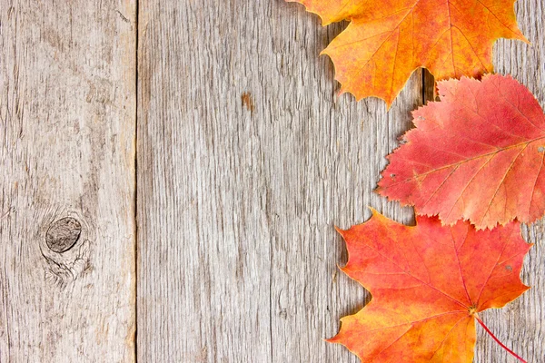 Herfst bladeren en oude houten planken — Stockfoto