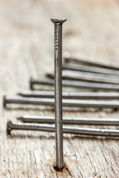 Clavos en el tablón de madera — Foto de Stock