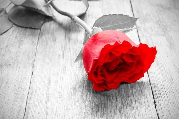 Роза на деревянном полу — стоковое фото