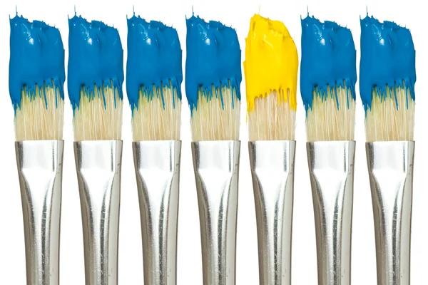 Paint brushes with blue and yellow paints — Stock Photo, Image