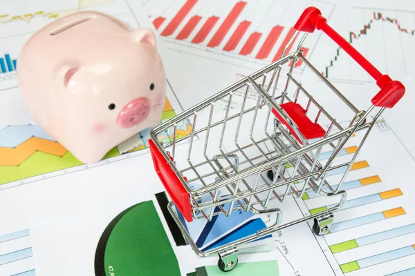 Shopping cart and  piggy bank — Stock Photo, Image