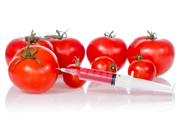 Inyección en tomate rojo fresco — Foto de Stock