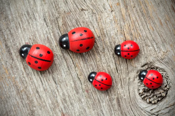 Ladybugs family — Stock Photo, Image