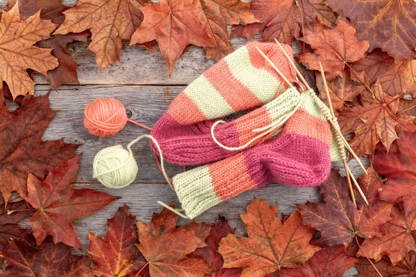 Knitted Sock Balls Yarn Knitting Needles Table Autumn Leaves Top — Stock Photo, Image